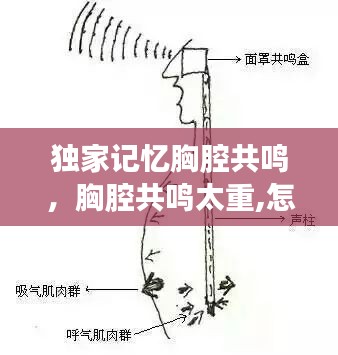 沉厚寡言 第2页