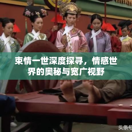 束情一世深度探寻,情感世界的奥秘与宽广视野