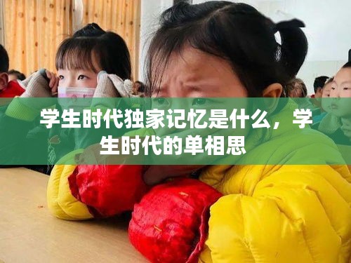 学生时代独家记忆是什么，学生时代的单相思 