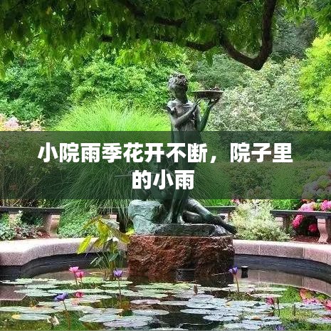 小院雨季花开不断，院子里的小雨 