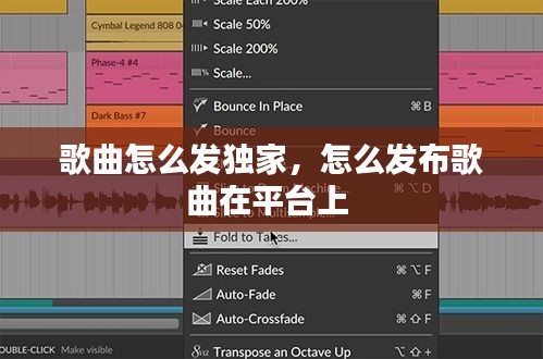 歌曲怎么发独家，怎么发布歌曲在平台上 