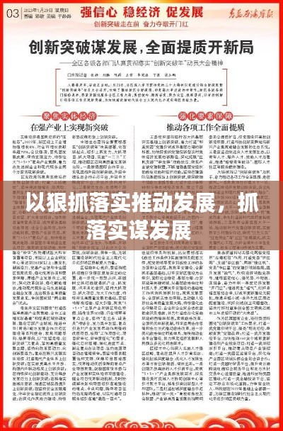 以狠抓落实推动发展,抓落实谋发展