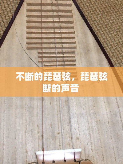 不断的琵琶弦,琵琶弦断的声音