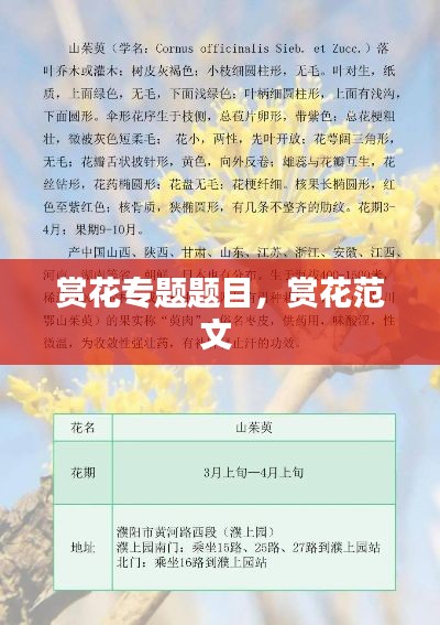 花枝招展 第2页