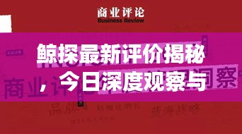 鲸探最新评价揭秘，今日深度观察与最新消息速递