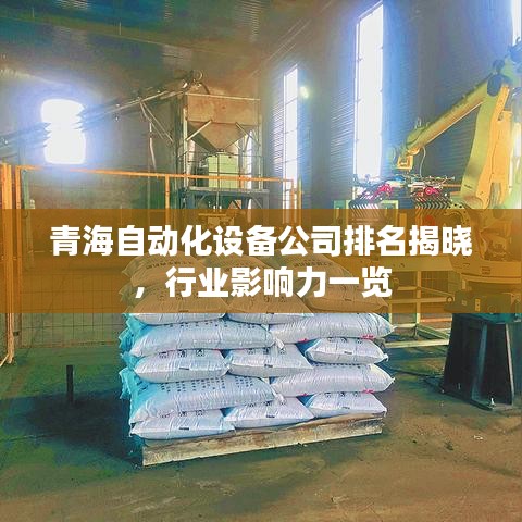 青海自动化设备公司排名揭晓,行业影响力一览