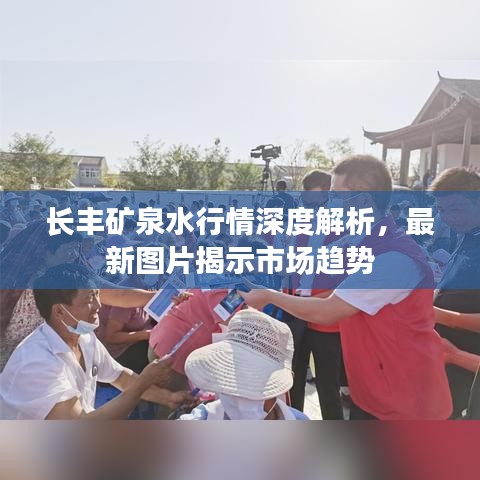 长丰矿泉水行情深度解析，最新图片揭示市场趋势