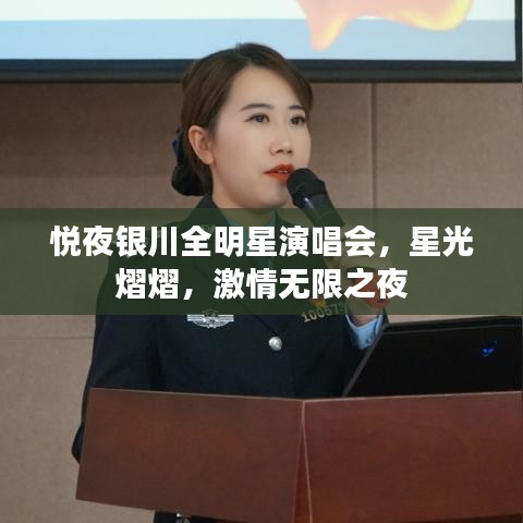 悦夜银川全明星演唱会,星光熠熠,激情无限之夜