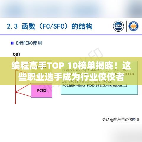 编程高手TOP 10榜单揭晓!这些职业选手成为行业佼佼者