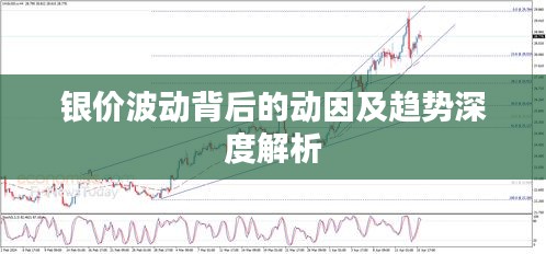 倦鸟思归 第3页