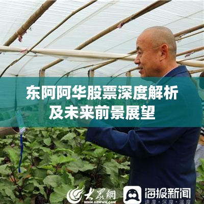 东阿阿华股票深度解析及未来前景展望