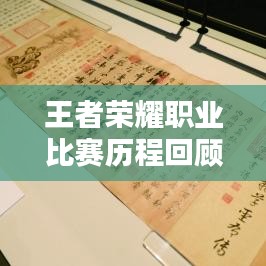 王者荣耀职业比赛历程回顾,荣耀之路的辉煌瞬间