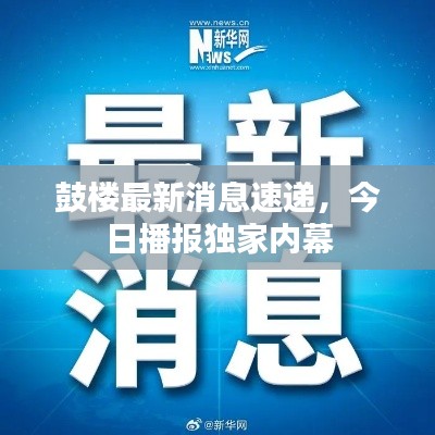 鼓楼最新消息速递,今日播报独家内幕